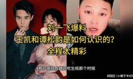 王凯和谭松韵最新爆料,揭秘幕后的精彩瞬间